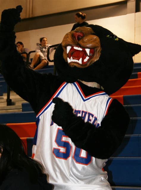 Unmasking the Suny Panther Mascot: The Person Behind the Costume